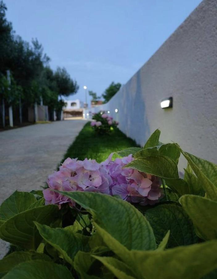 Apartment 4Reasons Razanac Exterior photo
